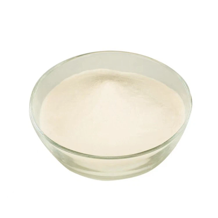 Beta-1 3 1 6-Glucan-Immunsystem